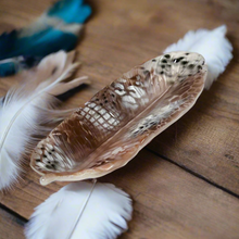 Load image into Gallery viewer, Feather Tray - Spotted Feather