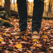 Load image into Gallery viewer, Autumn Leaves