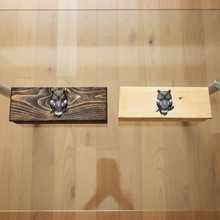 Load image into Gallery viewer, Wisdom Keeper Trinket Box top view