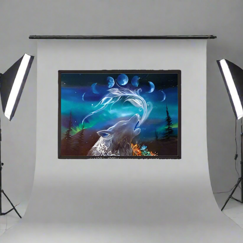 ART Framed Canvas - Wolf Whisperer Limited Edition